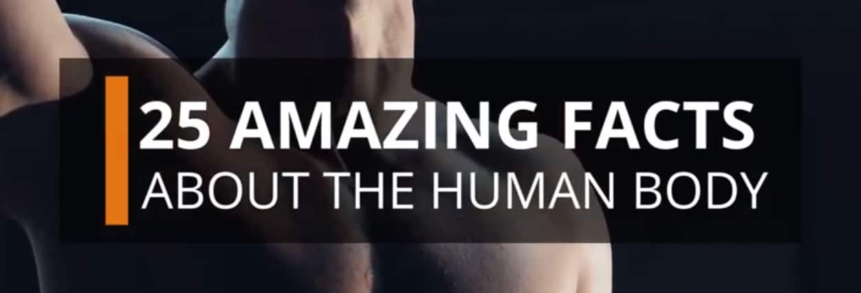 25 Amazing Facts About The Human Body