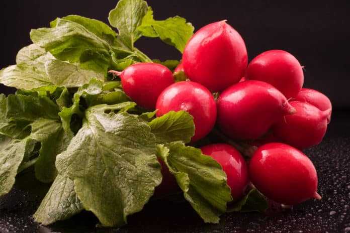 Radishes have Less Known Benefits and How to Prepare